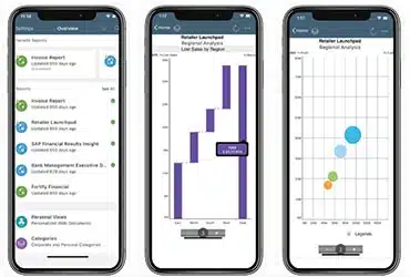 SAP BusinessObjects BI: mobile version