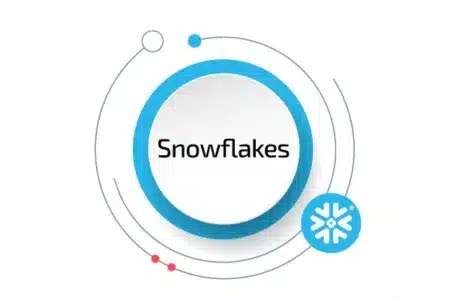 solution-snowflakes-450x300.jpg